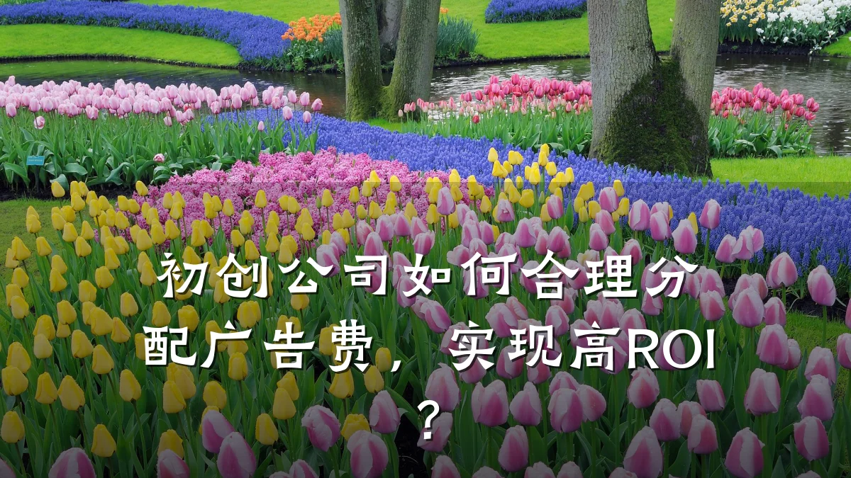 初创公司如何合理分配广告费，实现高ROI？