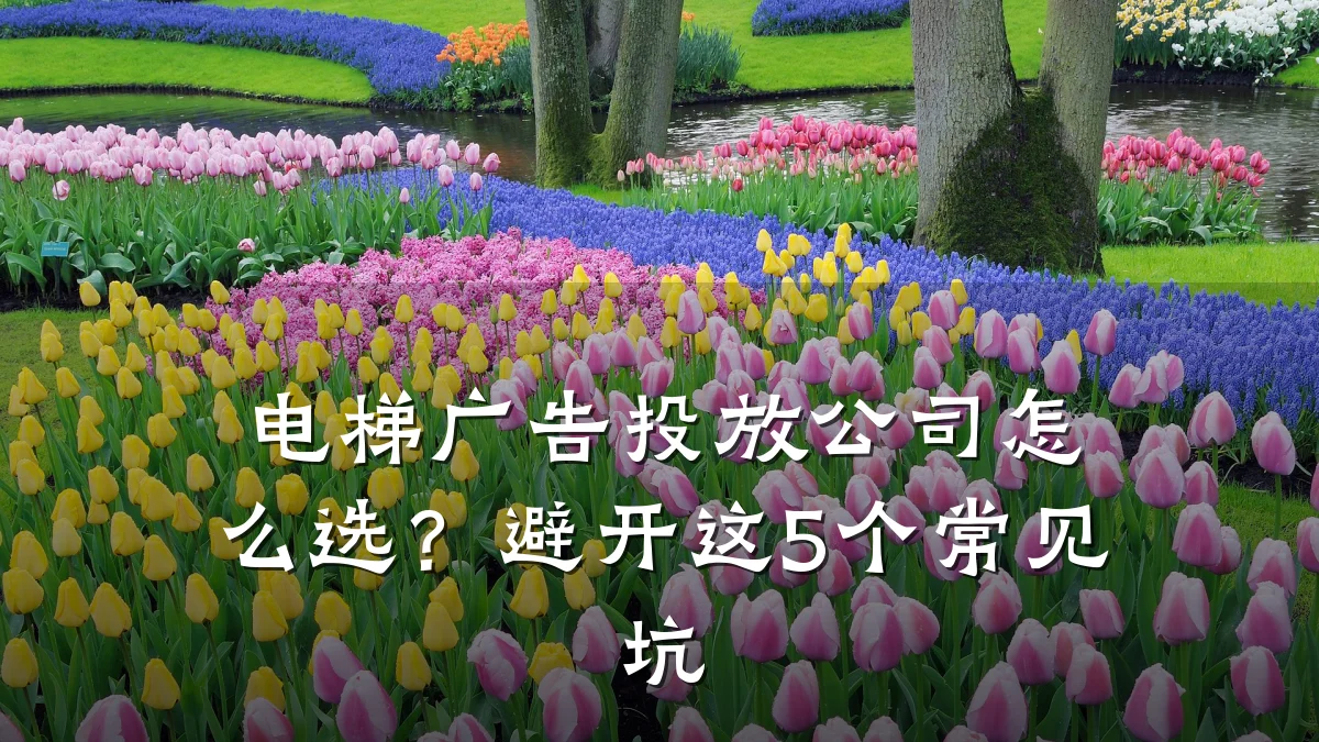 电梯广告投放公司怎么选？避开这5个常见坑