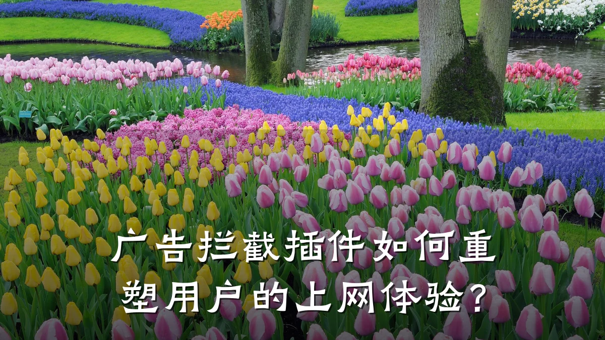 广告拦截插件如何重塑用户的上网体验？