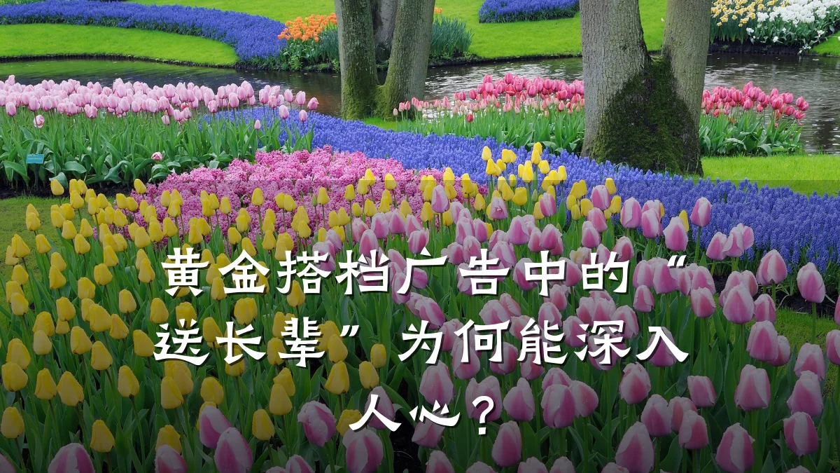 黄金搭档广告中的“送长辈”为何能深入人心？