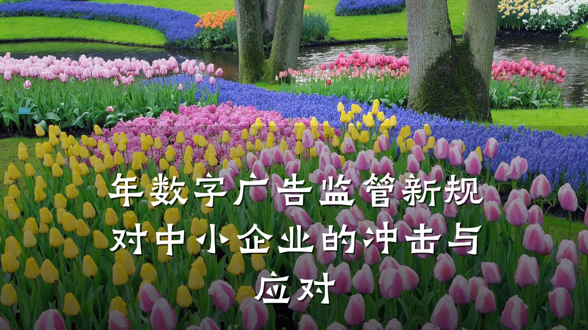 年数字广告监管新规对中小企业的冲击与应对