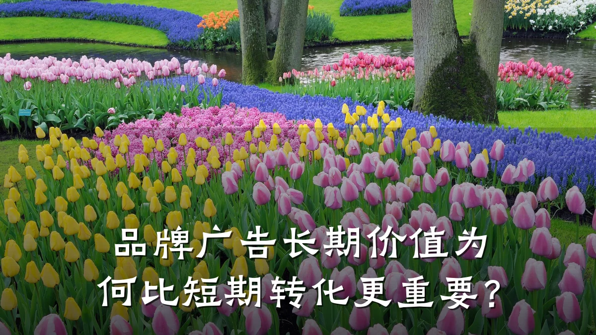 品牌广告长期价值为何比短期转化更重要？