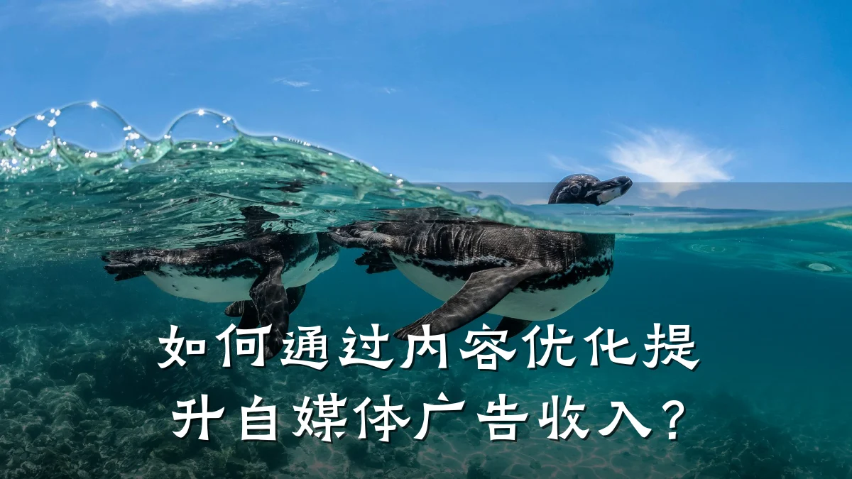 如何通过内容优化提升自媒体广告收入？