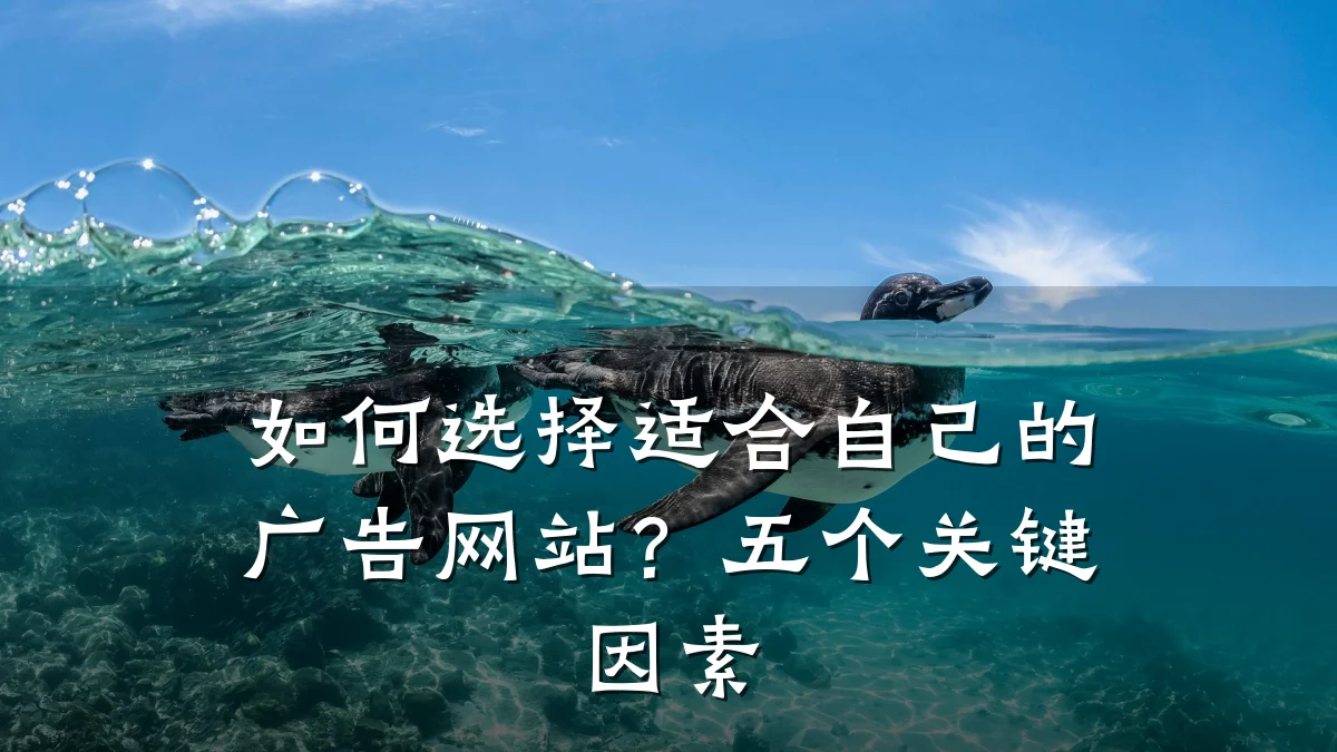 如何选择适合自己的广告网站？五个关键因素