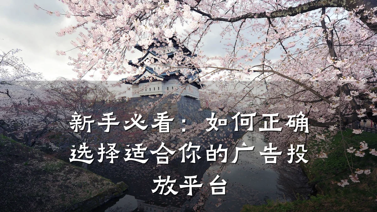 新手必看：如何正确选择适合你的广告投放平台