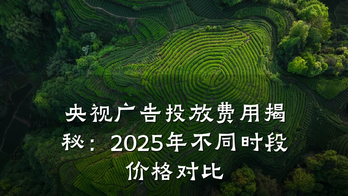 央视广告投放费用揭秘：2025年不同时段价格对比