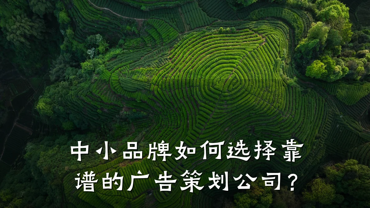 中小品牌如何选择靠谱的广告策划公司？