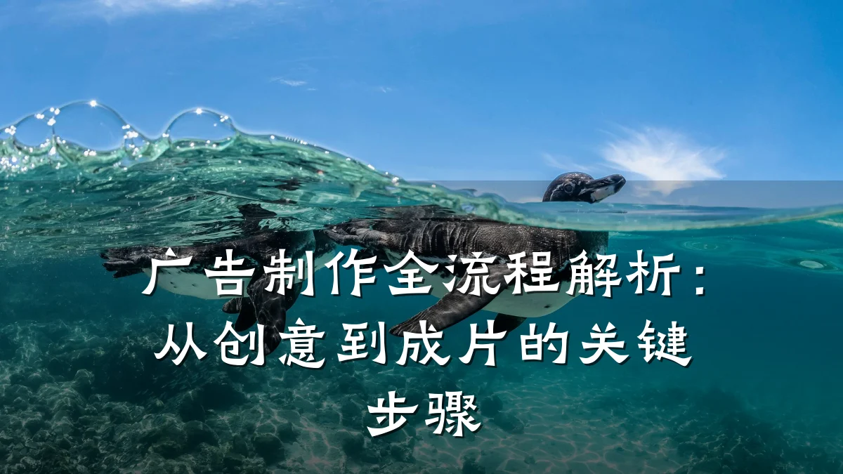 广告制作全流程解析：从创意到成片的关键步骤