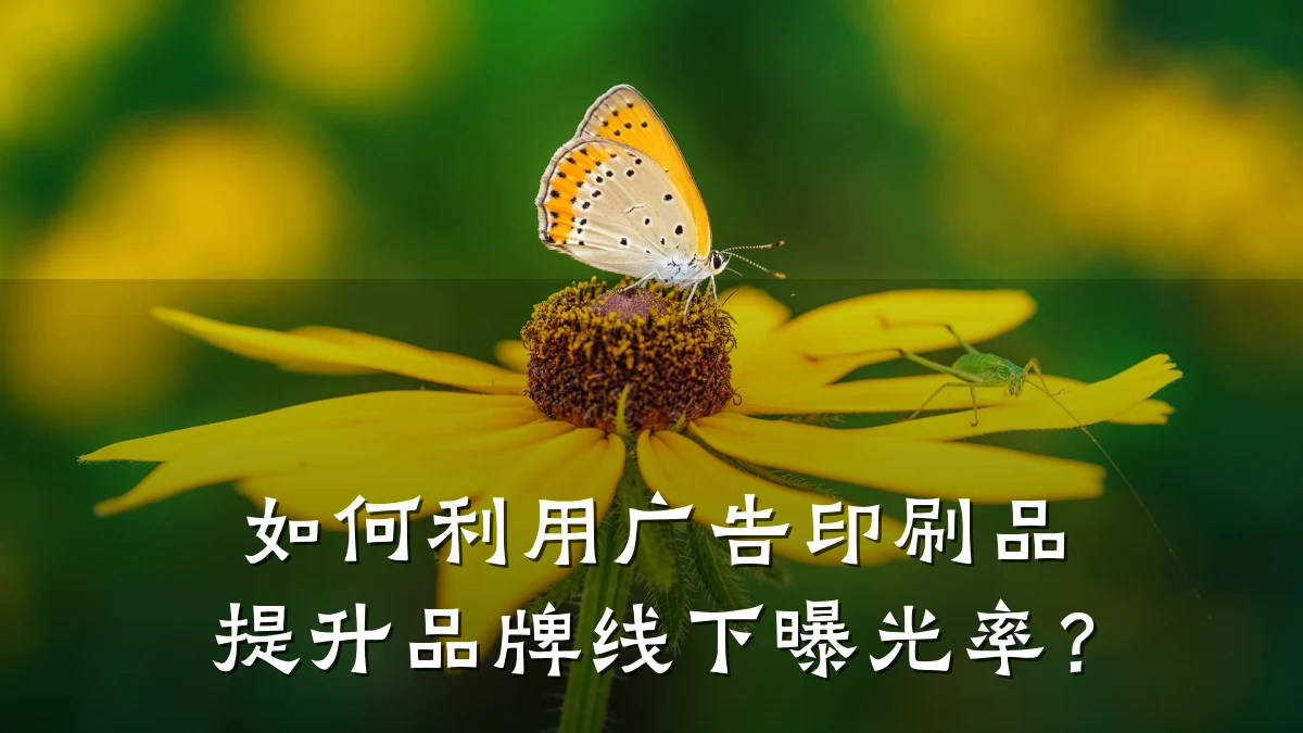 如何利用广告印刷品提升品牌线下曝光率？