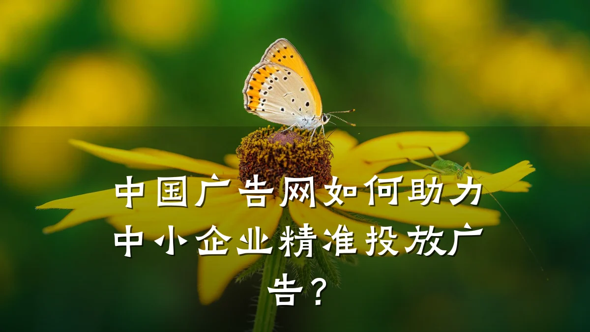 中国广告网如何助力中小企业精准投放广告？