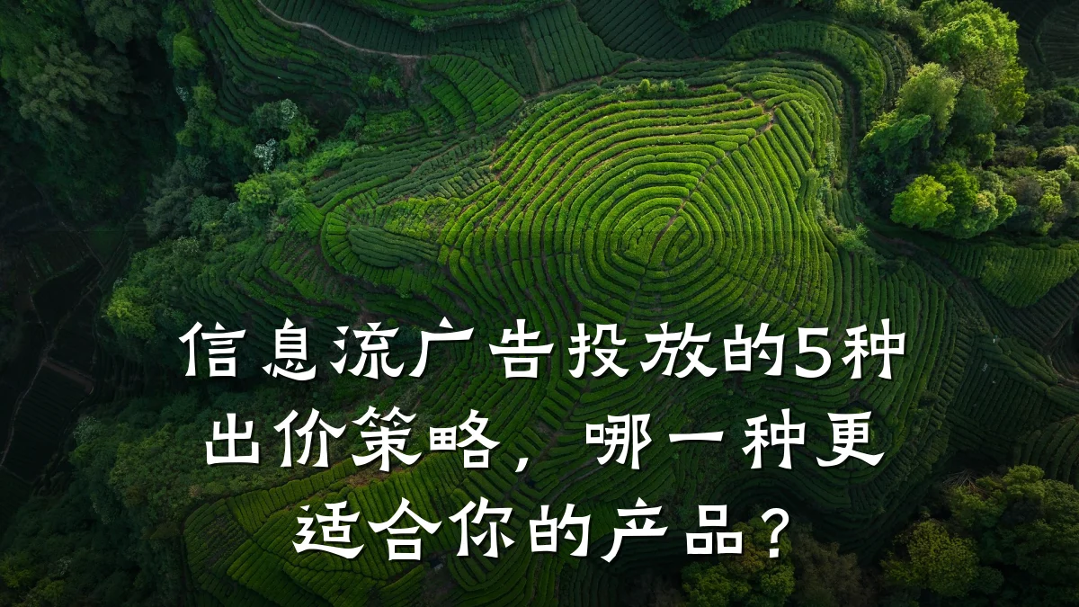 信息流广告投放的5种出价策略,哪一种更适合你的产品?