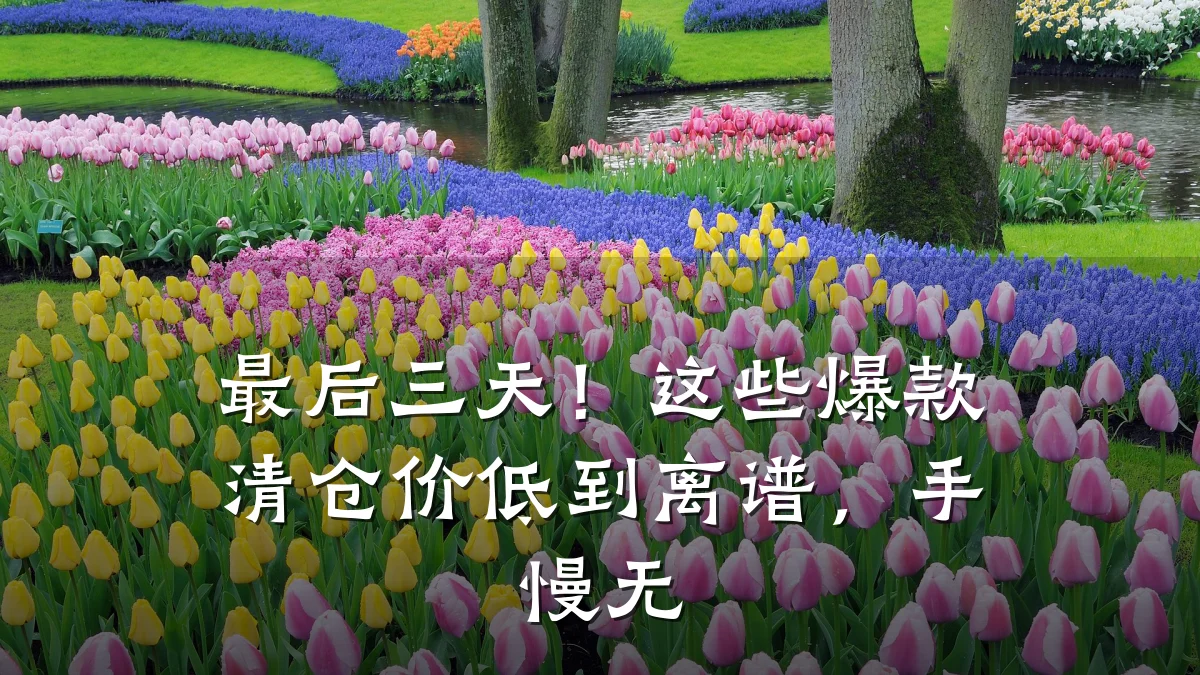 最后三天！这些爆款清仓价低到离谱，手慢无