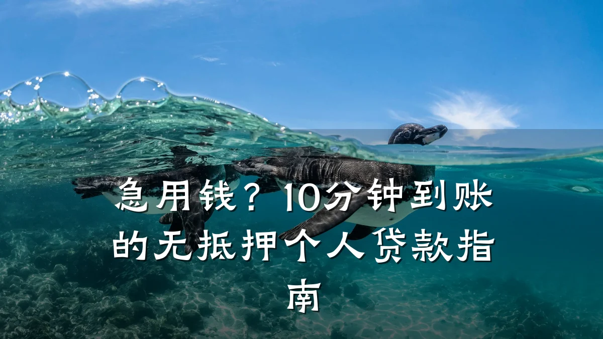 急用钱？10分钟到账的无抵押个人贷款指南