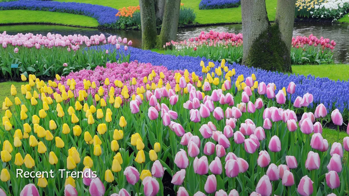 Recent Trends