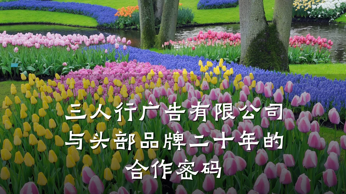 三人行广告有限公司与头部品牌二十年的合作密码