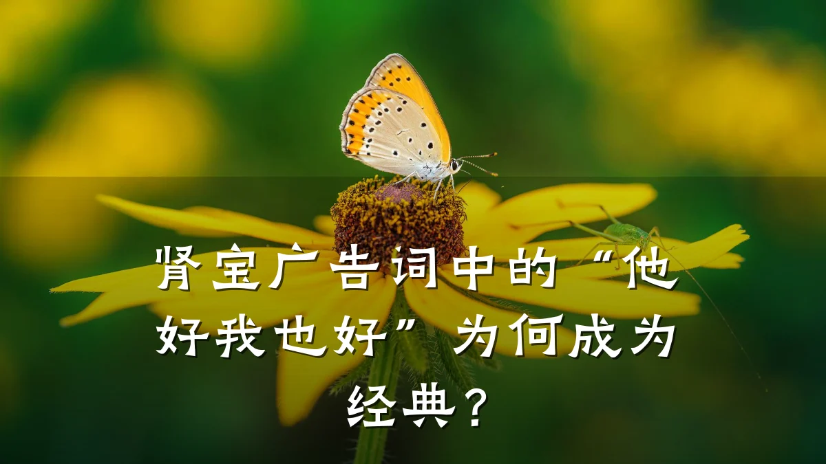 肾宝广告词中的“他好我也好”为何成为经典？