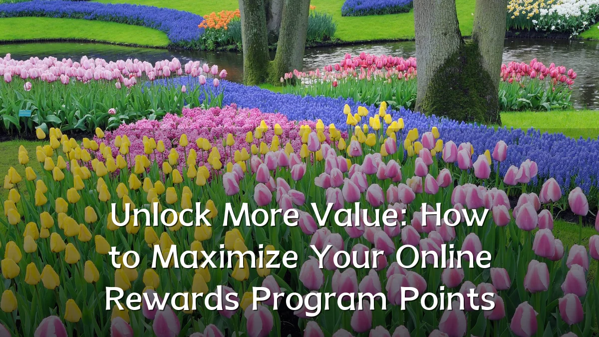 Unlock More Value: How to Maximize Your Online Rewards Program Points