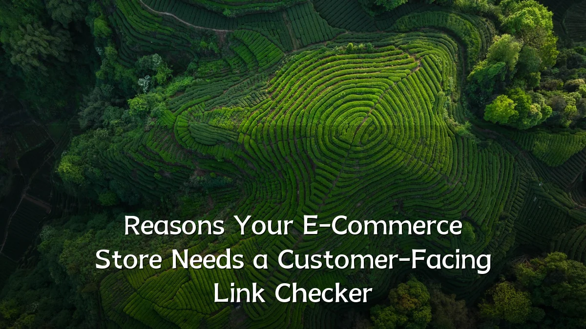 Reasons Your E-Commerce Store Needs a Customer-Facing Link Checker