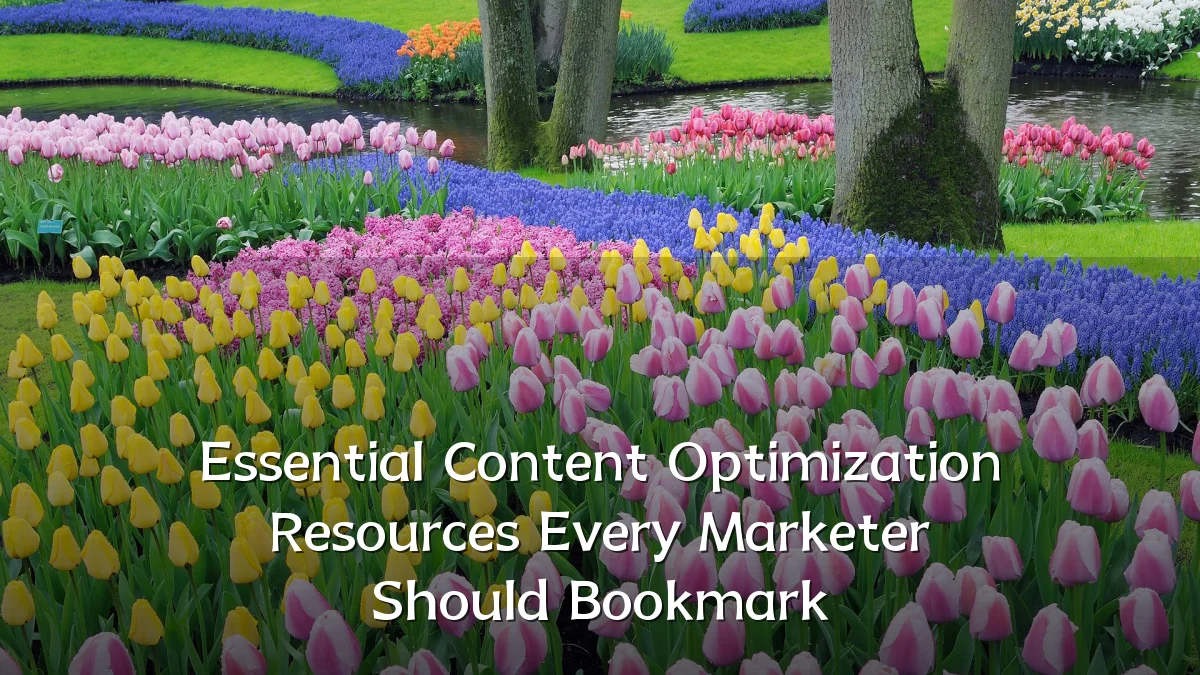 Essential Content Optimization Resources Every Marketer Should Bookmark