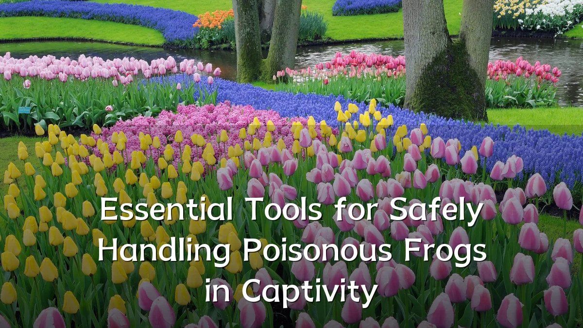 Essential Tools for Safely Handling Poisonous Frogs in Captivity