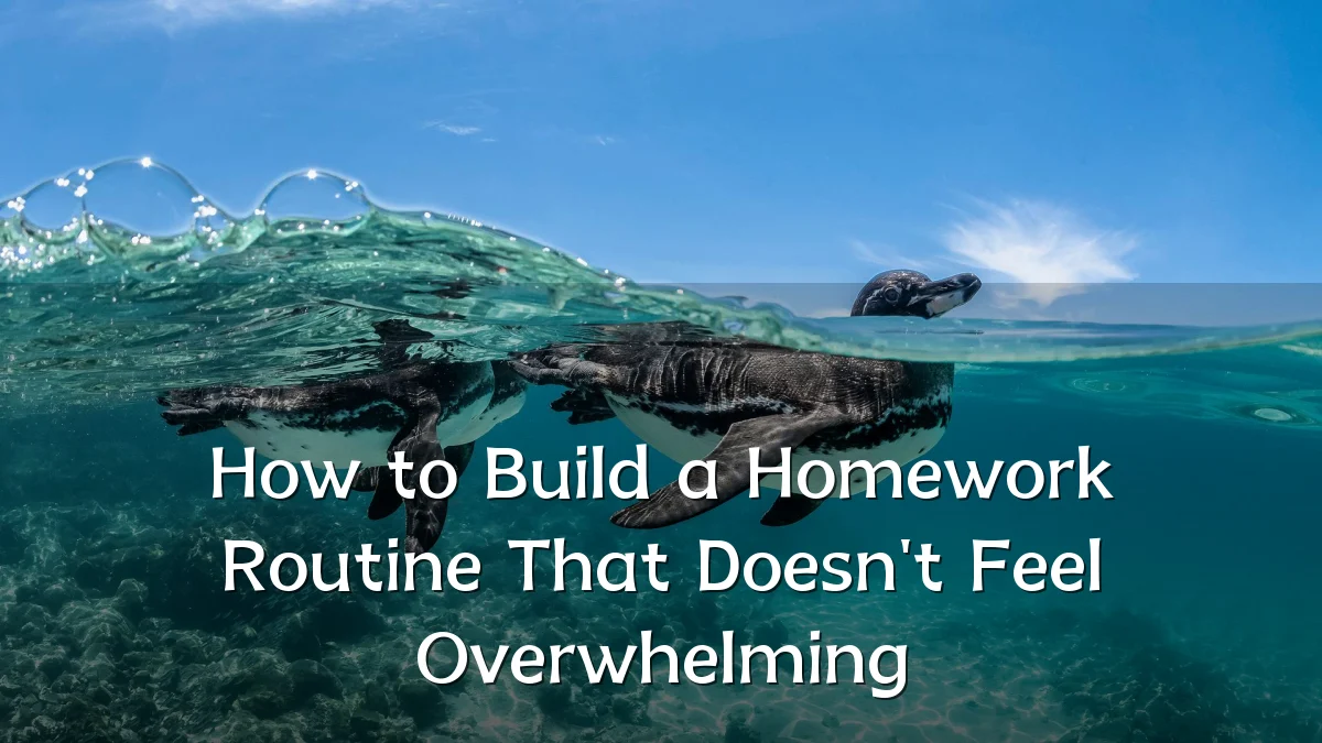 How to Build a Homework Routine That Doesn't Feel Overwhelming