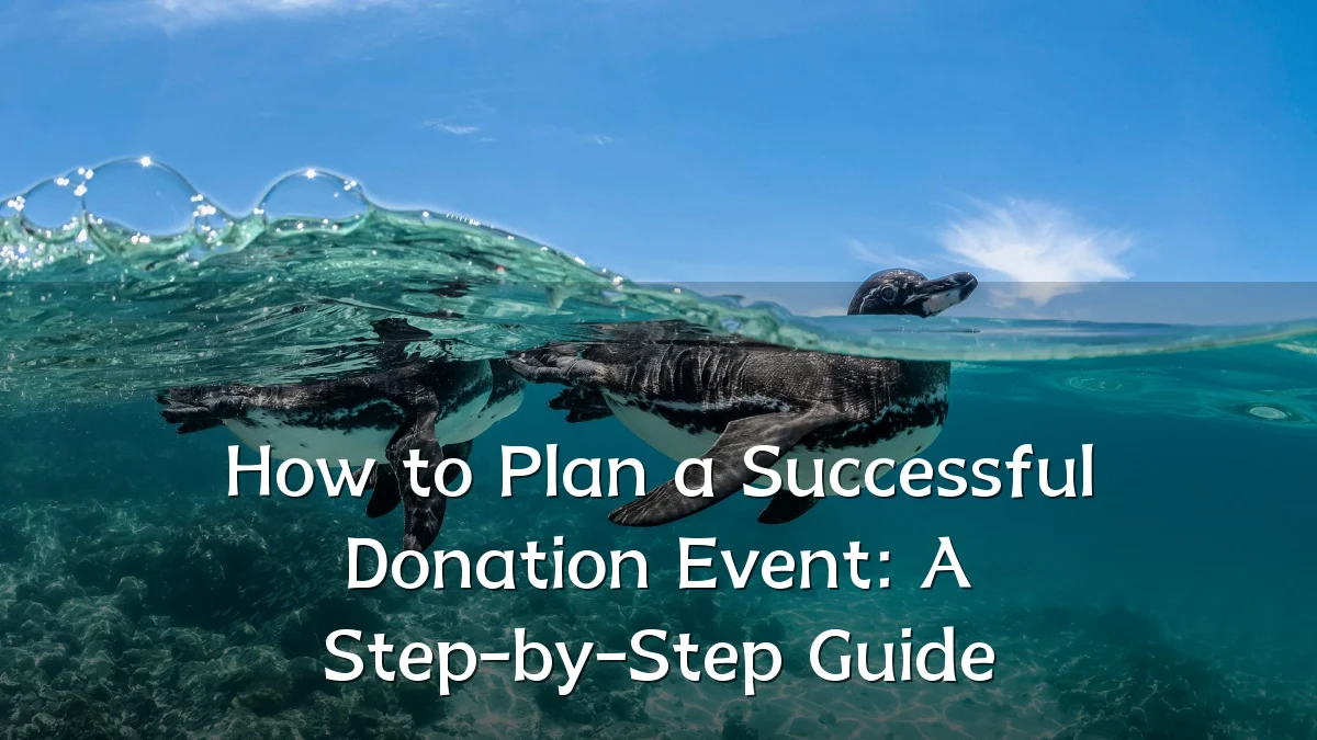 How to Plan a Successful Donation Event: A Step-by-Step Guide