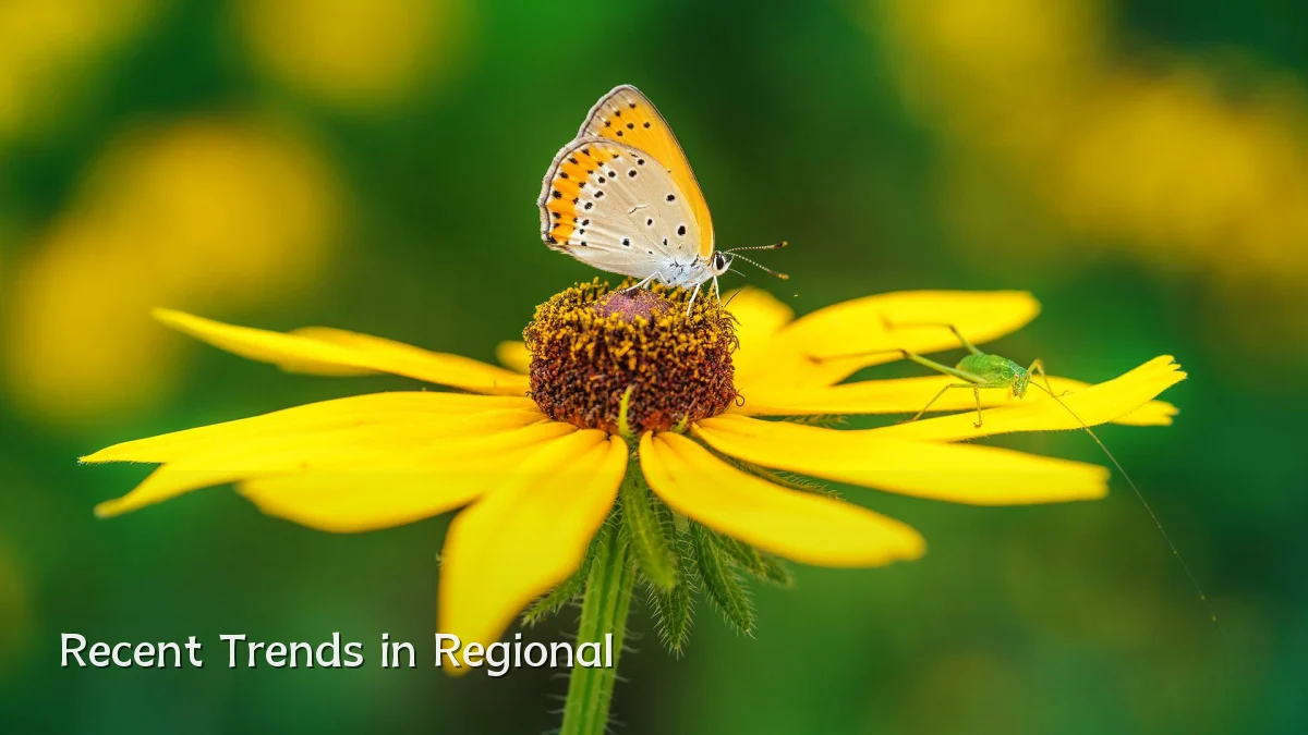 Recent Trends in Regional