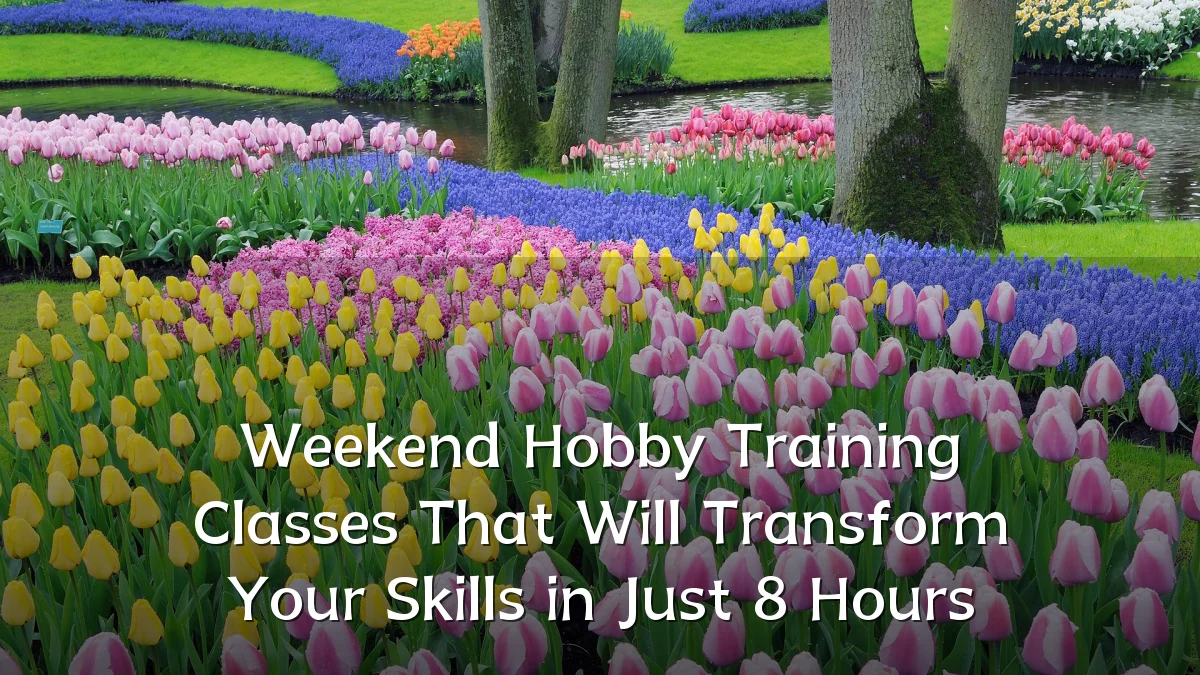 Weekend Hobby Training Classes That Will Transform Your Skills in Just 8 Hours