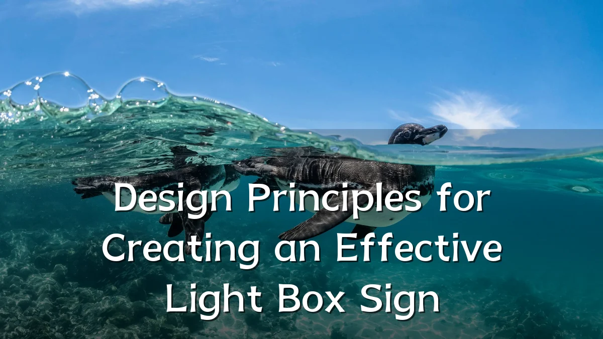 Design Principles for Creating an Effective Light Box Sign