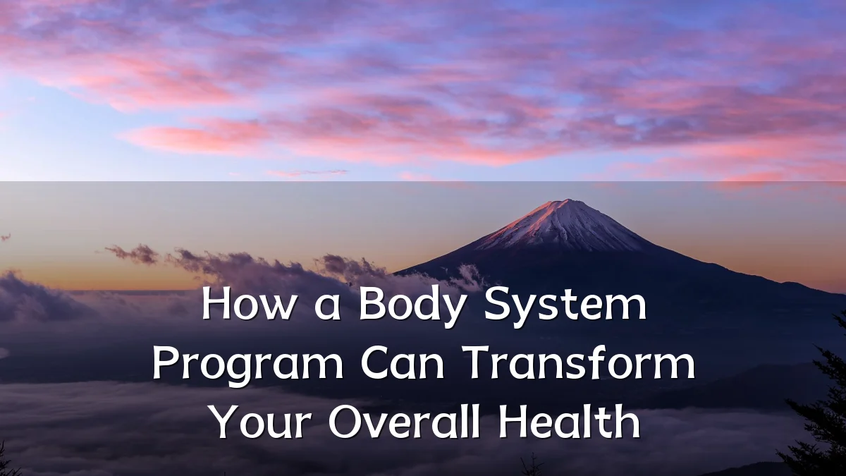 How a Body System Program Can Transform Your Overall Health