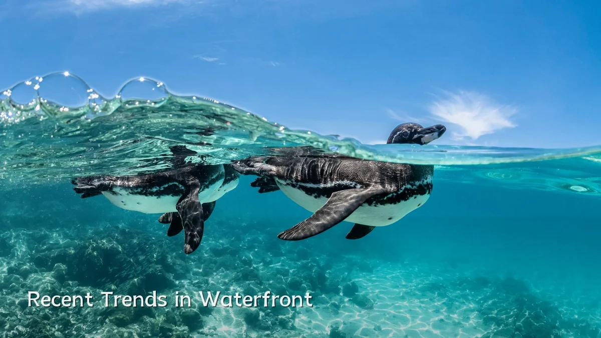 Recent Trends in Waterfront