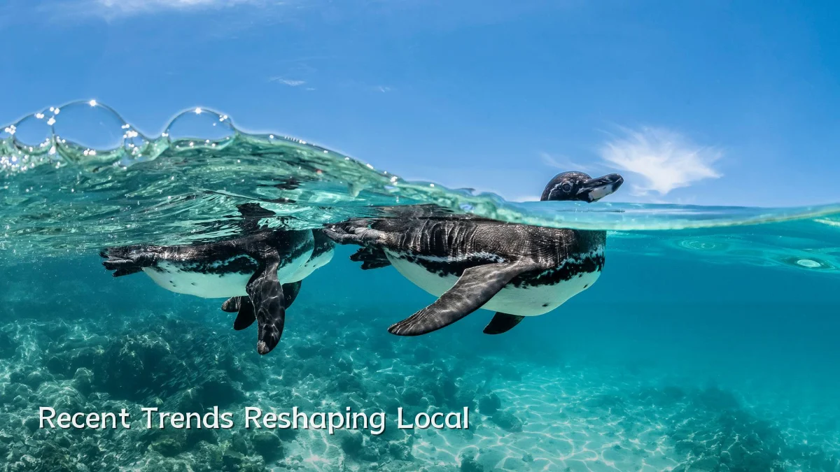 Recent Trends Reshaping Local
