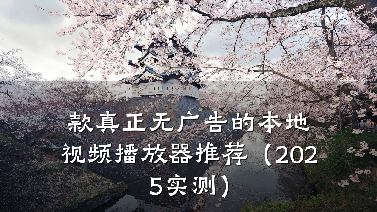款真正无广告的本地视频播放器推荐（2025实测）