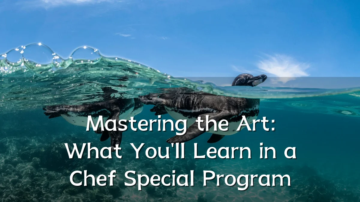 Mastering the Art: What You'll Learn in a Chef Special Program