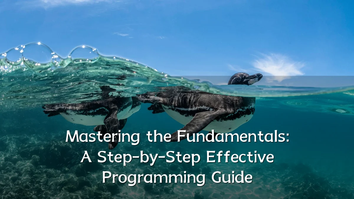 Mastering the Fundamentals: A Step-by-Step Effective Programming Guide