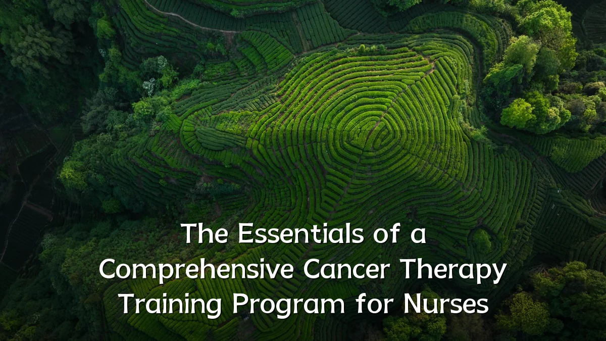 The Essentials of a Comprehensive Cancer Therapy Training Program for Nurses