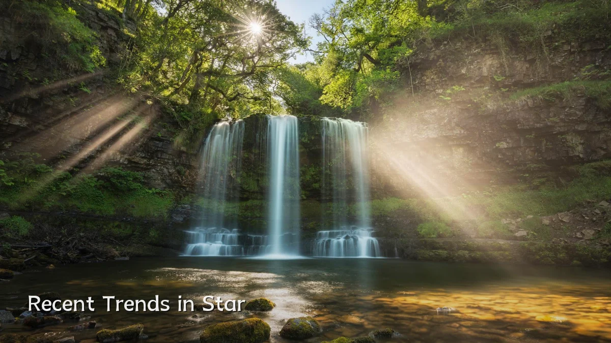 Recent Trends in Star