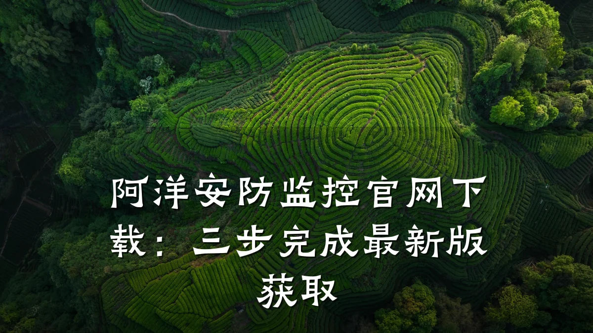 阿洋安防监控官网下载:三步完成最新版获取