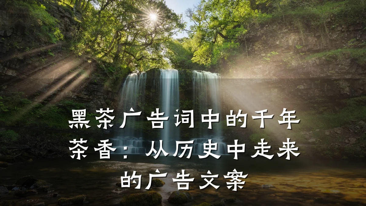 黑茶广告词中的千年茶香：从历史中走来的广告文案
