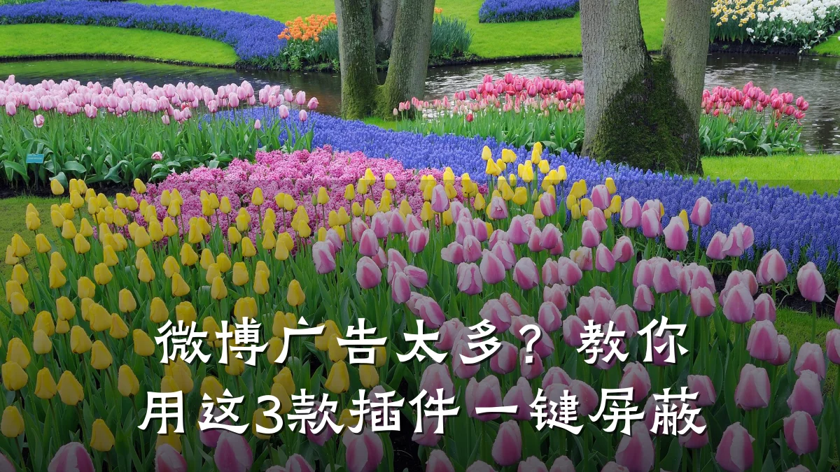 微博广告太多？教你用这3款插件一键屏蔽