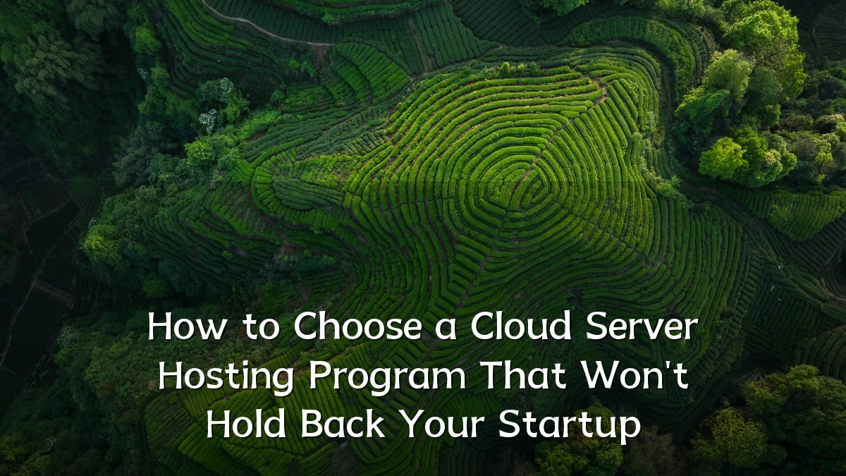 How to Choose a Cloud Server Hosting Program That Won't Hold Back Your Startup