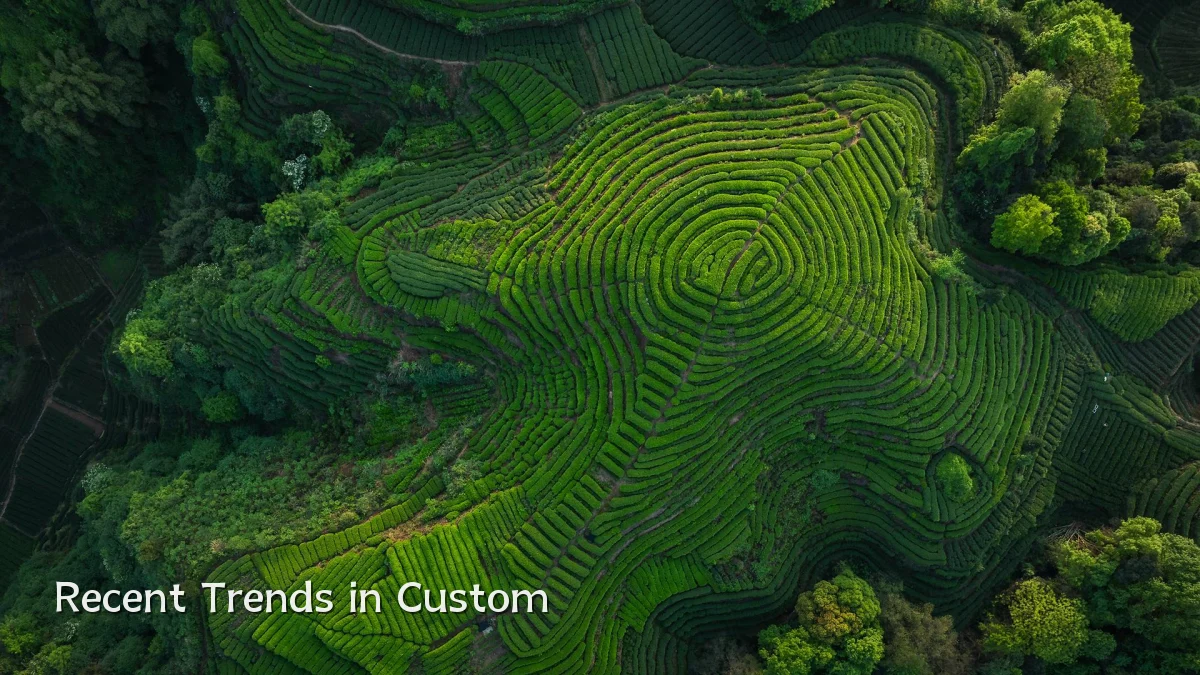 Recent Trends in Custom