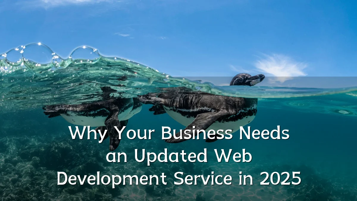 Why Your Business Needs an Updated Web Development Service in 2025